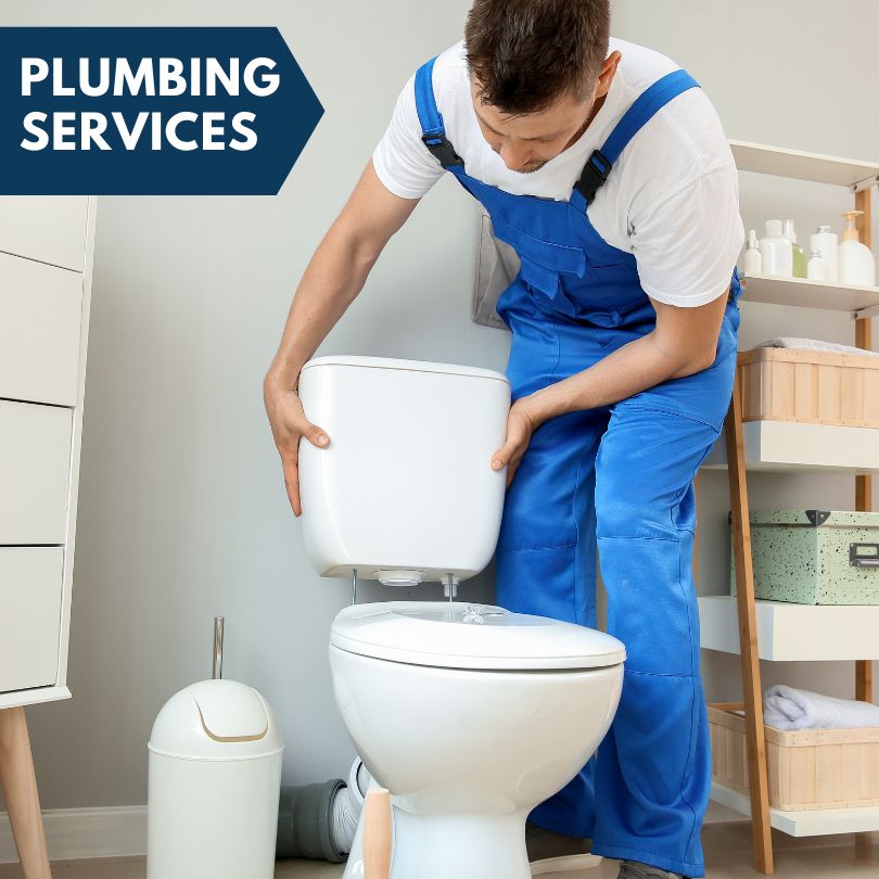 Plumbing Company in Piper City, IL